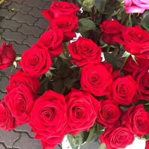 Meet your Posher, Mandy